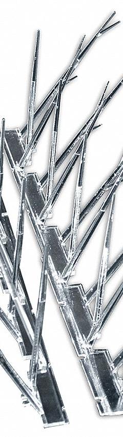 BIRD-X Bird Repellent Spikes: Std, Plastic Base, Clear, 10 ft Overall Lg, Plastic Spikes (MPN SP-10). Key specifications — Brand: BIRD-X; Spike Material: Plastic; Targeted Birds: Grackles; Base Material: Plastic; Ledge Width: Standard.