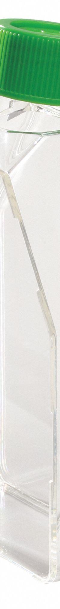 APPROVED VENDOR Cell Culture Flask: Cell Culture, Polystyrene, 250 mL, 8.45 fl oz, Sterile (MPN 229520). Key specifications — Tolerance: +/-2.00%; Brand: APPROVED VENDOR; Graduated: Yes; Includes Closure: Yes.