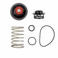 WATTS Backflow Preventer Repair Kits: Total Relief Valve Kit, 809GC8/809GC9/809GD0, 919/LF919 (MPN RK 919-VT 1-1/4-2). Key specifications — Compatible Valve Size: 1-1/4 in to 2 in; Compatible with Grainger Part No.: 809GD0; Compatible with Series: RK-919; Compatible with Mfr. Model No.: LF919; Includes: Relief Valve Cover O-Ring.