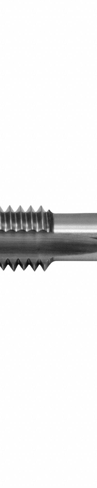 CHICAGO-LATROBE Spiral Point Tap: #10-24 UNC - General Purpose Spiral-Point Taps