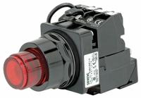 SIEMENS Illuminated Push Button: Illuminated, Extended Profile, Non-Metallic, 30 mm, 1NO (MPN 52BT6D2K). Key specifications — Brand: SIEMENS; Action: Maintained/Momentary; Series: Class 52; Terminal Connection: Pressure Plate; Push Button Material Type: Non-Metallic.