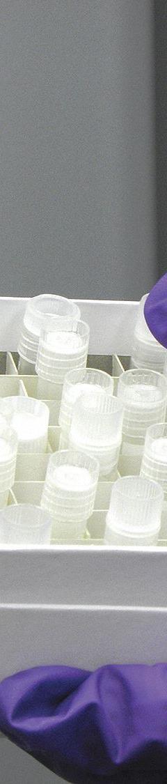 Cell Divider: 6 in Overall Lg, 6 in Overall Wd, Fiberboard, NBOX2/NBOX3 (MPN ND49). Key specifications — Compatible with Manufacturer Model Number: NBOX3; Material: Fiberboard; Product Type: Cell Divider; Brand: COREPOINT SCIENTIFIC.