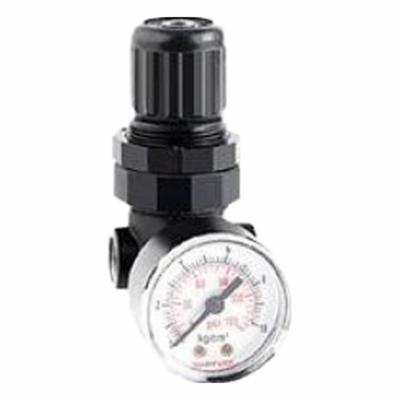 ELGA Inlet Pressure Regulator: Type I/Type II/Type III - Water Purification Replacement Parts, Filters, Stands & Switches