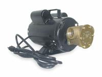 DAYTON Utility Pump: 115/230V AC, 86 ft Max head, 8 ft Cord Lg, 1 in FNPT, 1 in FNPT, Buna-N, FNPT (MPN 3ACC1). Key specifications — Nameplate Voltage: 115/230V AC; Impeller Material: Buna-N; Brand: DAYTON.