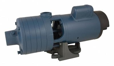 FLINT & WALLING Booster Pump: 3/4 hp, Single Phase, 115/230V AC - Horizontal Booster Pumps