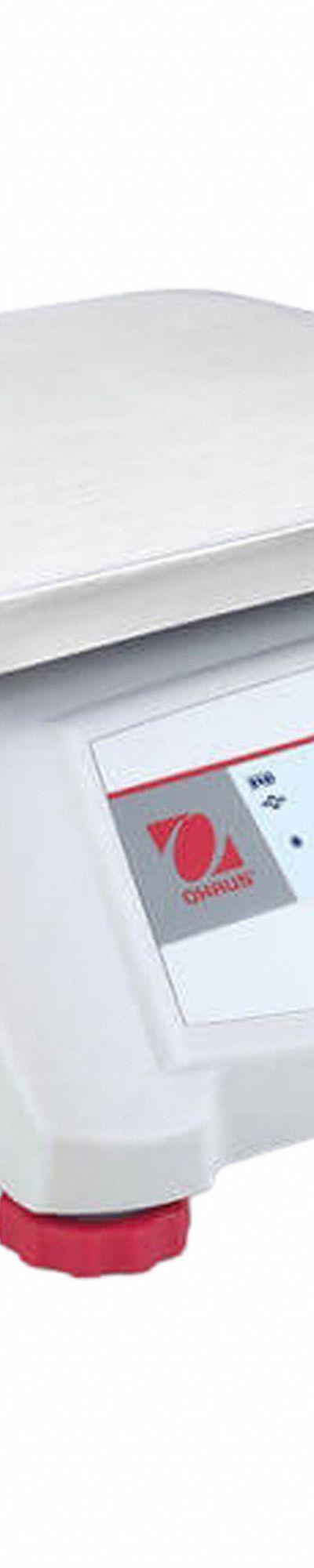 OHAUS Food Scale: 9 5/8 in Weighing Surface Dp - Food Scales