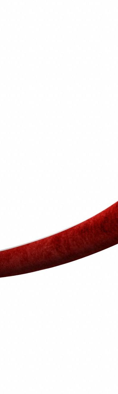VISIONTRON Barrier Rope: Red, 6 ft Overall Lg, Velvet, Snap End - Barrier Ropes