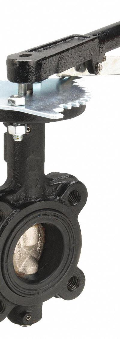 MILWAUKEE VALVE Butterfly Valve: 2 in Pipe Size - Ductile Iron General-Service Butterfly Valves