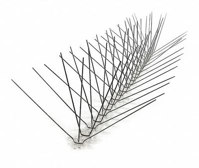 BIRD-X Bird Repellent Spikes: Wide, Plastic Base, Clear, 10 ft Overall Lg - Bird Spikes