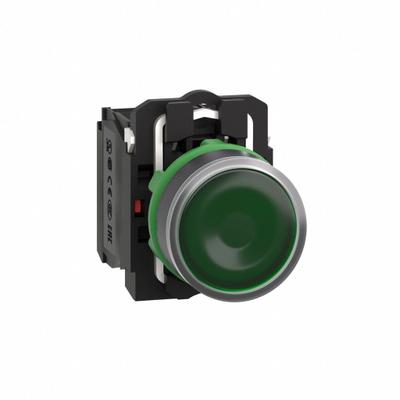 SCHNEIDER Illuminated Push Button: Illuminated, Flush Profile, Non-Metallic, 22 mm - Illuminated Flush-Mount Push Buttons