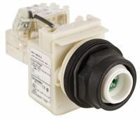 SCHNEIDER ELECTRIC Pilot Light: 30 mm Panel Mounting Size, No Lens Included, LED, 9001SK Series (MPN 9001SKT38LG). Key specifications — Lens Color: No Lens Included; Series: 9001SK; Brand: SCHNEIDER; Includes Push-To-Test: Push-To-Test Included.