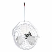 CANARM Mounted Fan: 18 in Blade Dia, 120V AC, 1/8 hp Motor HP, Ceiling Mount, Non-Oscillating (MPN HAF18-W). Key specifications — Brand: CANARM; Voltage: 120V AC; Number of Speeds: Variable; Fan Mounting Location: Ceiling; Oscillation: Non-Oscillating.
