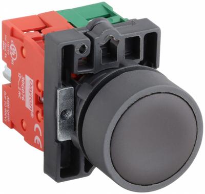 Dayton Flush Push Button Operator: Non-Illuminated, Flush Profile, Non-Metallic - Flush-Mount Push Buttons