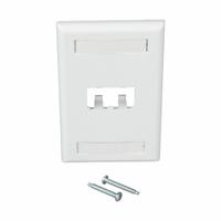 PANDUIT Wall Plate: White, 1 Gang, 2 Port, Flat Module, Plastic, Vertical (MPN CFPL2WHY). Key specifications — Brand: PANDUIT; Material: Plastic; Color: White; Compatible Connector Type: Mini-Com Modules; Outlet Orientation: Vertical; Module Style: Flat.