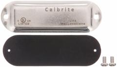 Covers for Conduit Access Fitting: Stainless Steel, Polished, 1 1/2 in Trade Size (MPN S61500CG00). Key specifications — Finish: Polished; Includes: Screws; For Use With: Form 8 Conduit Bodies; Brand: CALBRITE.