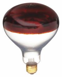 SHAT-R-SHIELD Incandescent Bulb: Incandescent, R40, Medium Screw (E26), 250 W Watt, Frosted, 120V AC (MPN 250R40/HT/RED). Key specifications — Bulb Finish: Frosted; Color Temperature: Not Rated; Shatter-Resistant: Yes; Brand: SHAT-R-SHIELD; Voltage: 120V AC; Bulb Shape: R40.