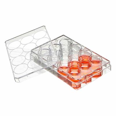 GLOBE SCIENTIFIC Well Plate: Sterile, 12 Wells, 1.14 mL, RNase/DNase Free - Cell Culture Plates