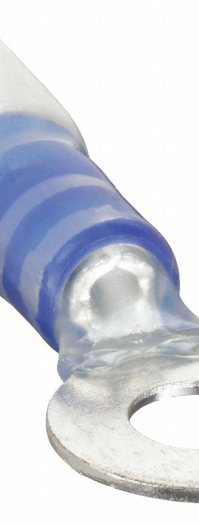 VELVAC Ring Terminal: Blue - Insulated Ring Terminals