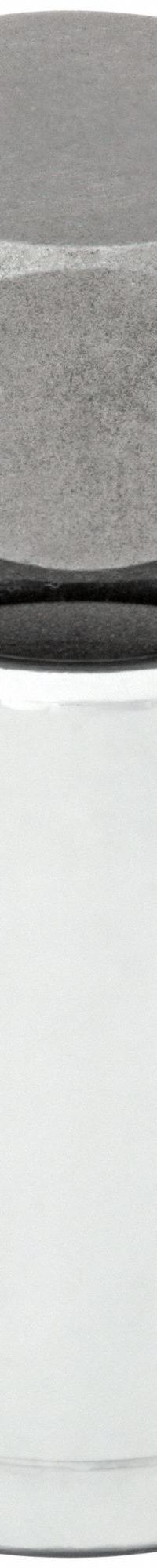 WESTWARD Socket Bit: 1/2 in Drive Size, Hex Tip, 9/16 in Tip Size, 2 1/4 in Overall Lg, Fixed Insert (MPN 54TM81). Key specifications — attr1204765: Fixed Insert; attr1204767: WESTWARD.