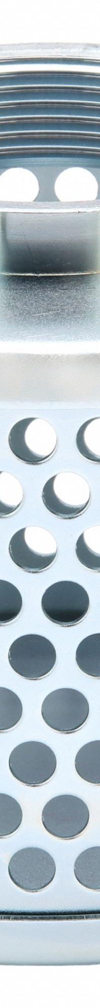 DAYTON Suction Strainer: Steel Body, Round, Side, FNPT, 3 in Strainer Thread Dia, Female, NPT, FNPT (MPN 1P812). Key specifications — Strainer Material: Steel; Perforation Shape: Round; Perforation Location: Side; Brand: DAYTON.