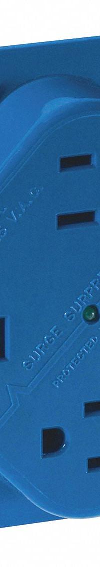 BRYANT Receptacle: Quad, 5-15, Blue, 125V AC, 15 A, 2 Pole / 3 Wire (MPN 1254SA)