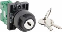 DAYTON Selector Switch: 2 Position, 22 mm Panel Mounting Size, 1NO (MPN 30G270). Key specifications — Manufacturer Part Number: 30G270; Brand: DAYTON; Switch Action: Maintained/Maintained; Contact Form: 1NO; Key Removal Position: Any Position.