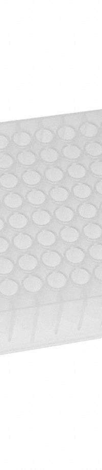 MTC BIO Well Plate: Non-Sterile, 96 Wells, 1.1 mL, 7 mm Dia, RNase/DNase Free, Round, Polystyrene (MPN DP11VR-9-GC10). Key specifications — Brand: MTC BIO; Body Color: Colorless; RNase/DNase Free: Yes; Well Shape: Round; Material: Polystyrene.