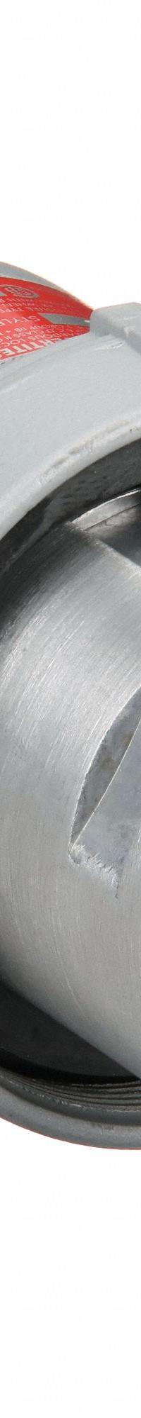 APPLETON ELECTRIC Pin and Sleeve Plug: Gray, 600V AC, Three Phase, 60 A, 4 Pole, 3 Wire (MPN ACP6034BC). Key specifications — Brand: APPLETON ELECTRIC.