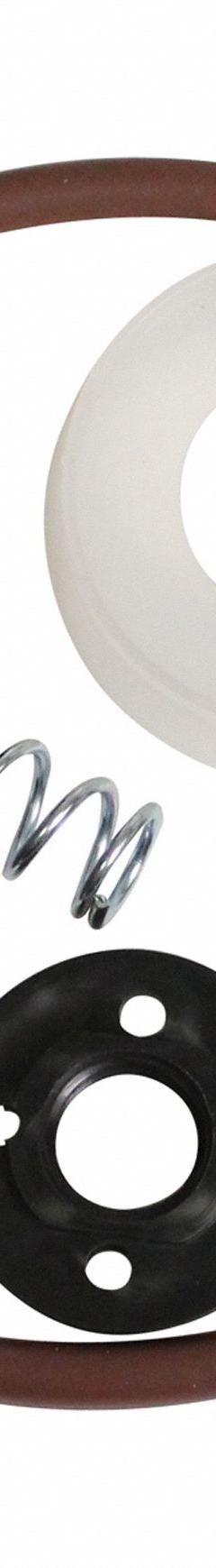 CHAPIN Repair Kit: Sprayers, 6-4601, Fluoropolymer Elastomer. Key specifications — Product Type: Sprayer Repair Kit; Compatible Mfr No.: 26021XP; Material: Fluoropolymer Elastomer; Compatible Product Type: Sprayers.