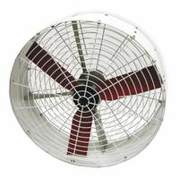 MULTIFAN Fan Head: 36 in Blade Dia, 1 Speeds, 240V AC, 1/2 hp Motor, Non-Oscillating (MPN TURB036). Key specifications — Voltage: 240V AC; Brand: MULTIFAN; Number of Speeds: 1; Phase: Single.
