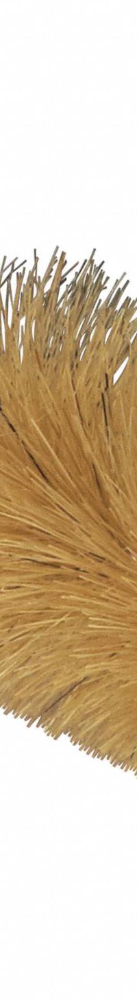 Centrifuge Brush: 9 in Overall Lg, Natural, 3 in Brush Head Lg (MPN 06135). Key specifications — Brand: TANIS; Non-Sparking: No; Bristle Color: Natural.