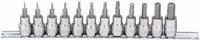 WESTWARD Socket Bit Set: 1 - 25 Pieces, 3/8 in Drive Size, 12 Pieces, 1 27/32 in Overall Lg, SAE (MPN 54TM25). Key specifications — attr1216280: Fixed Insert; attr1216283: WESTWARD; attr1225718: 1/16 in to 3/8 in; attr1227491: 3/8 in.