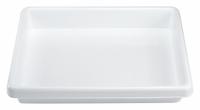 APPROVED VENDOR Lab Tray: Rectangular, Polystyrene, 9 L, 17 1/2 in Overall Lg, 14 in Overall Wd (MPN H18655-0000). Key specifications — Brand: APPROVED VENDOR; For Use With: Standard Lab Bench Drawers.
