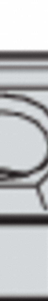 WIDIA Diamond Turning Insert: DNMG4316P, DNMG1504046P (MPN 4165989). Key specifications — attr257732: DNMG4316P; attr257733: DNMG1504046P.