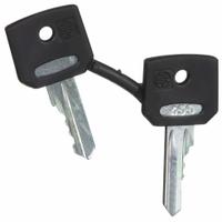 SCHNEIDER ELECTRIC Selector Switch Key: 455 Key Code, Series XB4/XB5 (MPN ZBG455). Key specifications — Compatible Product Type: Key Release Operators; Manufacturer Part Number: ZBG455; Brand: SCHNEIDER; Includes: (2) Keys; Key Code: 455.