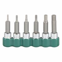 SK PROFESSIONAL TOOLS Socket Bit Set: 1 - 25 Pieces, 1/4 in Drive Size, 6 Pieces, Replaceable Insert (MPN 19732). Key specifications — attr1216280: Replaceable Insert; attr1216283: SK PROFESSIONAL TOOLS; attr1225718: 2 mm to 6 mm; attr1227491: 1/4 in.