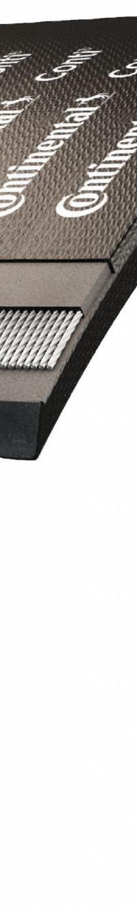 CONTINENTAL V-Belt: 8/8V2500, 8 Ribs, 253 in Outside Lg, 8 in Top Wd, 29/32 in Thick (MPN 20041136)