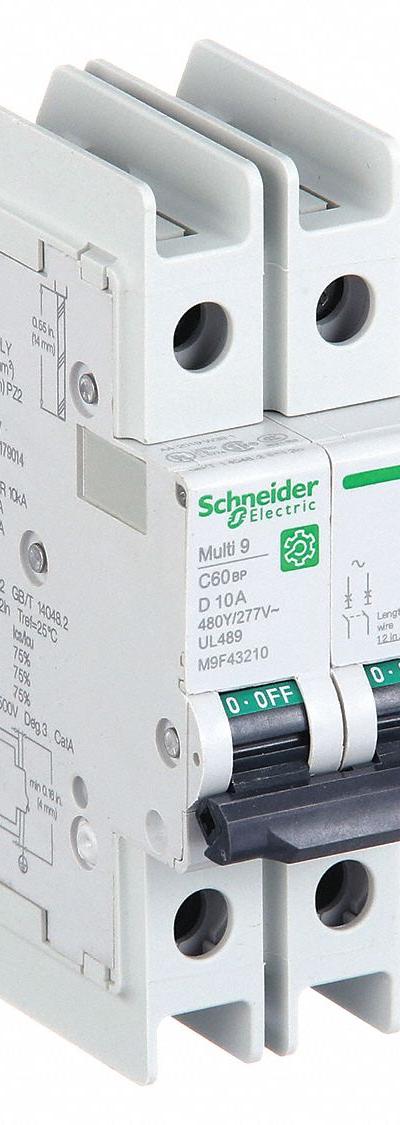 SCHNEIDER ELECTRIC IEC Miniature Circuit Breaker: 10 A Amps - D-Curve, 2-Pole UL489 DIN Rail-Mount Miniature Circuit Breakers