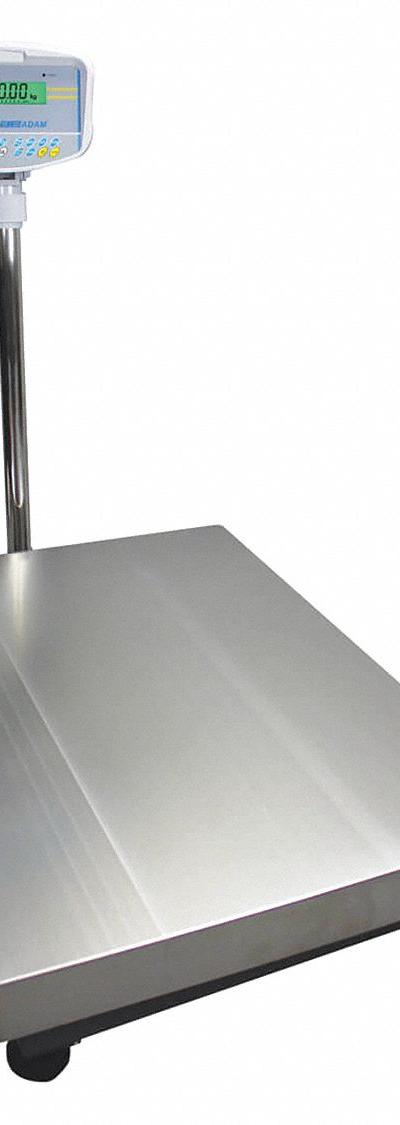 ADAM EQUIPMENT Floor Scale: 330 lb Wt Capacity - Floor Scales