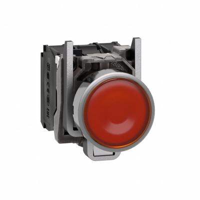 SCHNEIDER Illuminated Push Button: Illuminated, Flush Profile, Metallic, 22 mm - Illuminated Flush-Mount Push Buttons