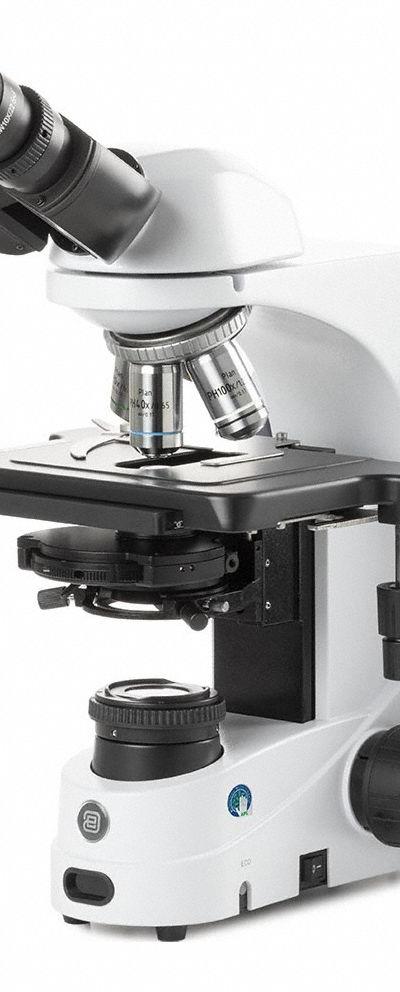 GLOBE SCIENTIFIC Microscope: Compound - Compound Microscopes