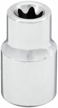 WESTWARD Socket: 3/8 in Drive Size, E10 Socket Size, External Torx, Std, Chrome, 1 1/4 in Overall Lg (MPN 54TN43). Key specifications — attr1206049: WESTWARD; attr1206024: Chrome.