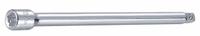 WESTWARD Socket Extension: 1/4 in Input Drive Size, 1/4 in Output Drive Size, 6 in Overall Lg, Std (MPN 53YV67). Key specifications — attr1204978: Not Insulated; attr1204980: Locking Not Included; attr1204984: WESTWARD; attr1204970: Chrome.