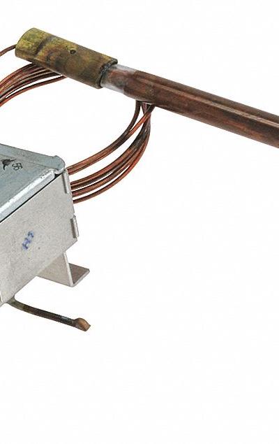 RHEEM Hi Limit: SP11806 - Plumbing