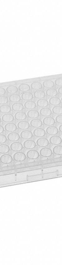 MTC BIO Well Plate: Non-Sterile, 96 Wells, 0.335 mL, 7 mm Dia, RNase/DNase Free, Round, Polystyrene (MPN DP04UR-9-N). Key specifications — Brand: MTC BIO; Body Color: Colorless; RNase/DNase Free: Yes; Well Shape: Round; Material: Polystyrene.