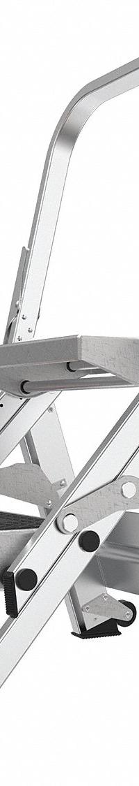 LITTLE GIANT Step Stool: 2 Steps, 2.7 ft Overall Ht, 300 lb Load Cap, Aluminum, 14 in Standing Ht (MPN 10210BA). Key specifications — Brand: LITTLE GIANT; Color: Gray; Includes: Foldable Handrails.