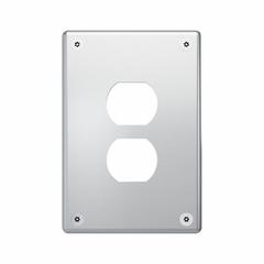 LEGRAND Wall Plate: Duplex Outlet, 1 Gang, Silver, Jumbo Size (MPN WSP61D1PS). Key specifications — Brand: LEGRAND; Material: Stainless Steel; Includes: Torx Security Screws.