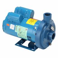 Centrifugal Pump: 2 hp, 115/230V AC, 84 ft Max Head, 1 1/2 in , 1 1/4 in Intake and Disch (MPN 125MC1G1G0). Key specifications — Brand: GOULDS WATER TECHNOLOGY; Motor Enclosure Type: ODP.