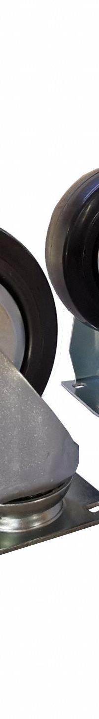 WESTWARD Caster Set: Repl Caster (MPN 10-A029C2). Key specifications — Compatible Product Type: Rolling Tool Cabinets; Brand: WESTWARD; Product Type: Replacement Caster; Compatible with Grainger Part Number: 48ZF02.