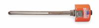 TEMPCO Over The Side Immersion Heater: 1 Phase, 120/240V AC, 500 W Watt, 1 1/4 in NPT, 16.79 W/sq in (MPN TSP02750). Key specifications — Watt Density: 16.79 W/sq in; Screw Plug Material: Steel; Sheath Material: Steel; Brand: TEMPCO; Control Range: 150° to 560°F.
